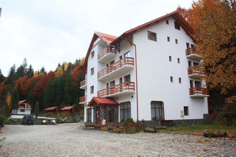 Hotel Paltinis Statiunea Exteriér fotografie